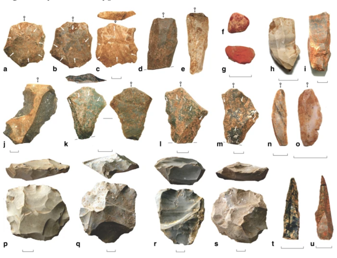 (Clarkson et al., Nature Communications, 2019)