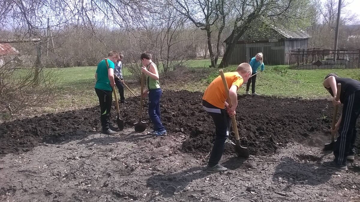 Если помощников много, то огород можно вскопать и самостоятельно. Фото из интернета