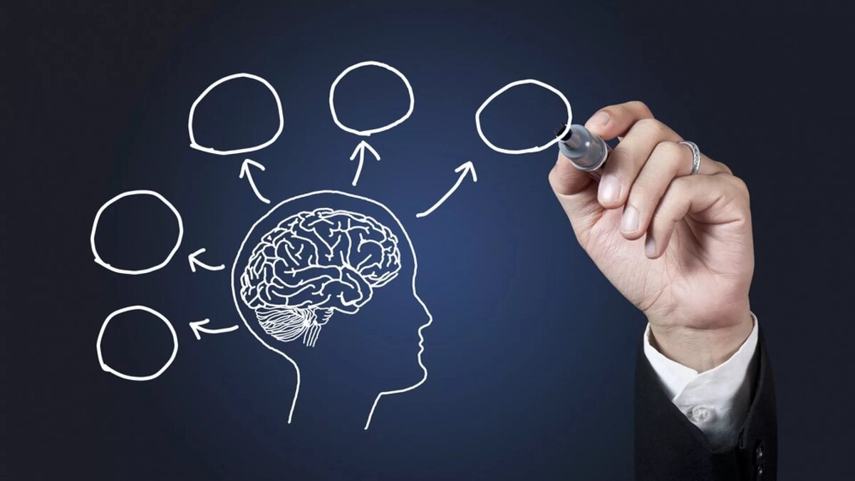 Что такое системно-векторная психология и как ее изучение способствует развитию личности?