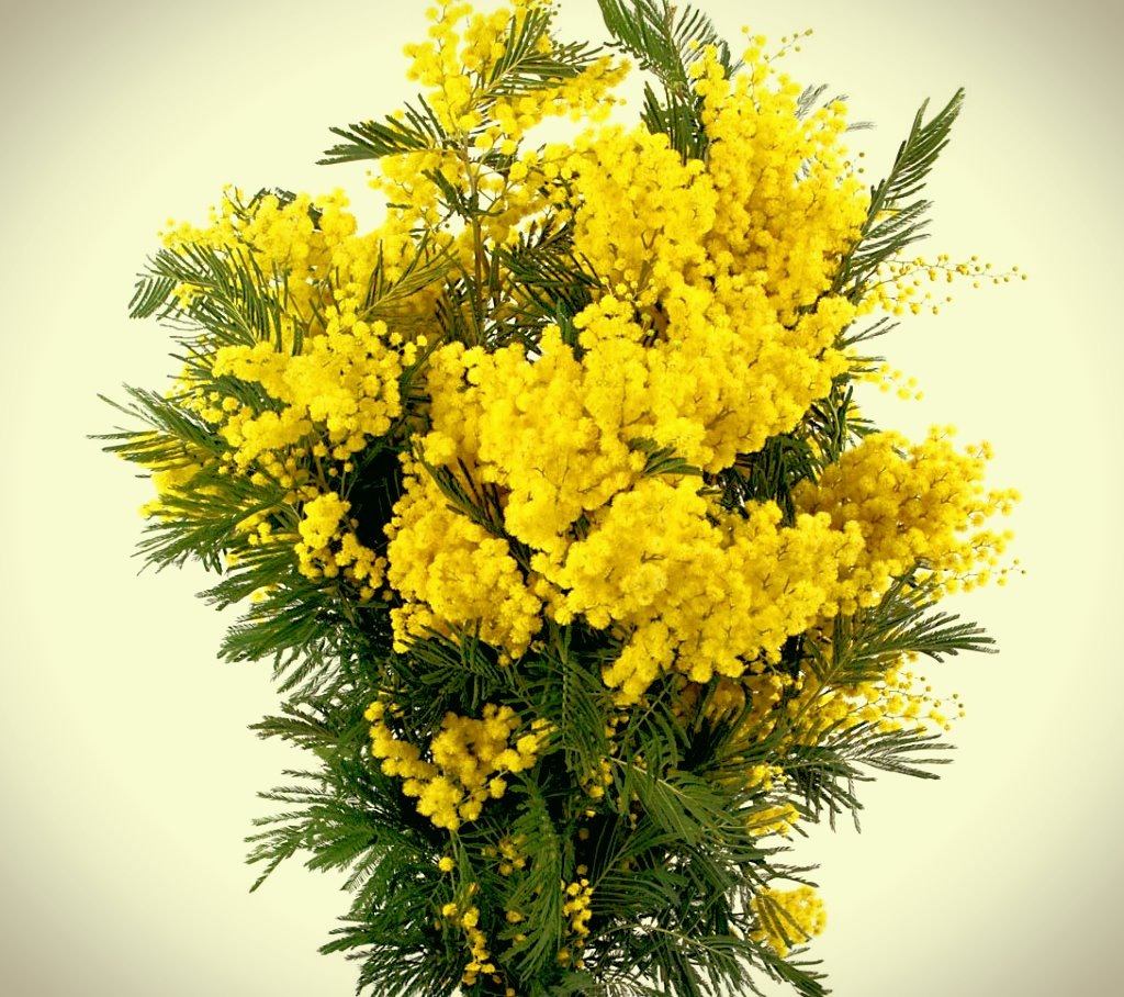 И этот тоже! Цветы именно 8 марта. Потом будут все, а эти только 8марта.