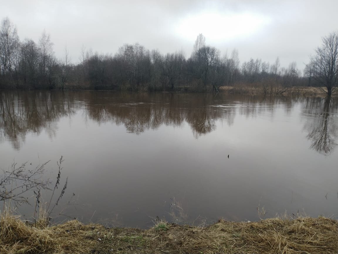 Речка разлилась широко