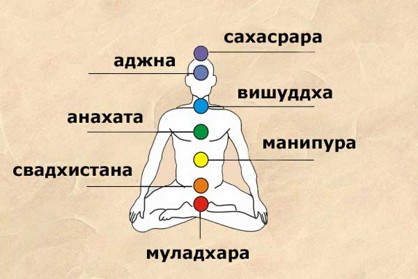 Расположение чакр. Чакры названия. Цвет энергетических центров и их расположение. Название чакр человека и их значение. Муладхара Свадхистана Манипура Анахата Вишудха Аджна Сахасрара.