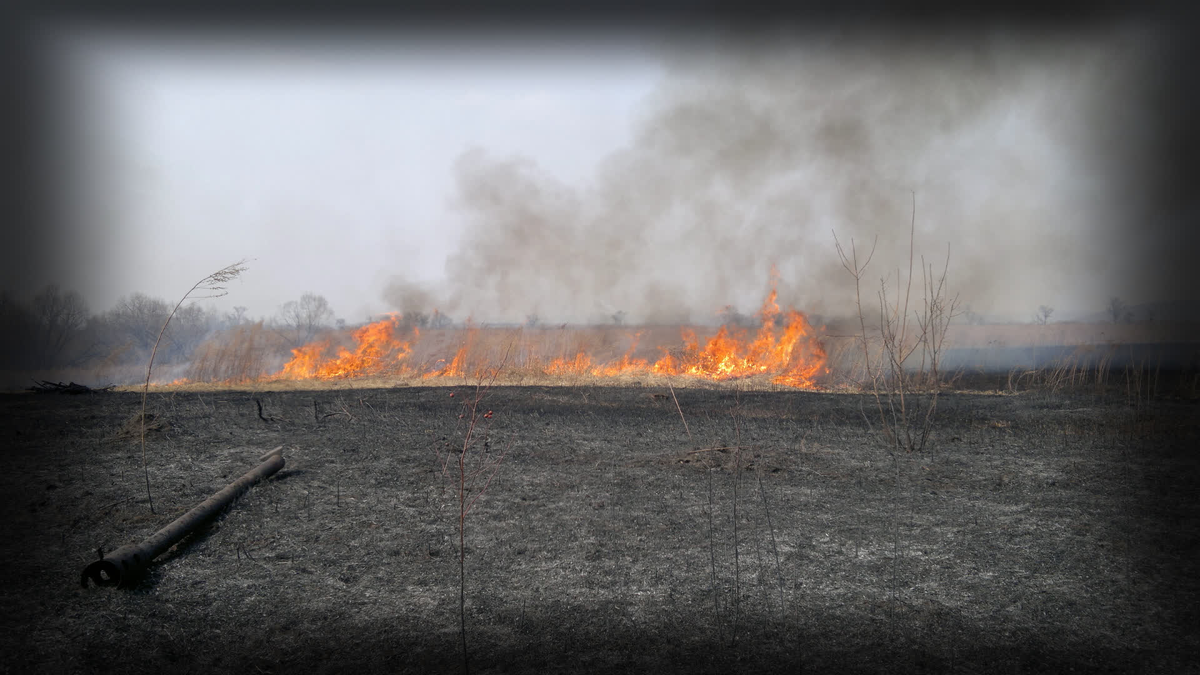 Фото из архива автора