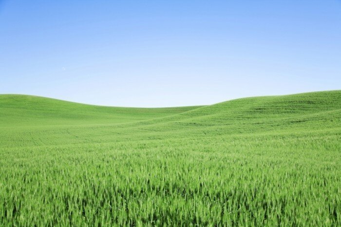 Изображение взято с сайта https://www.firestock.ru/krasivaya-polyana-beautiful-meadow/