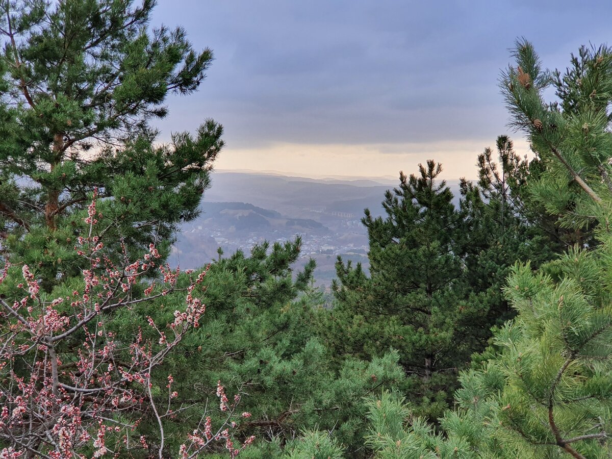 Национальный парк Кисловодский