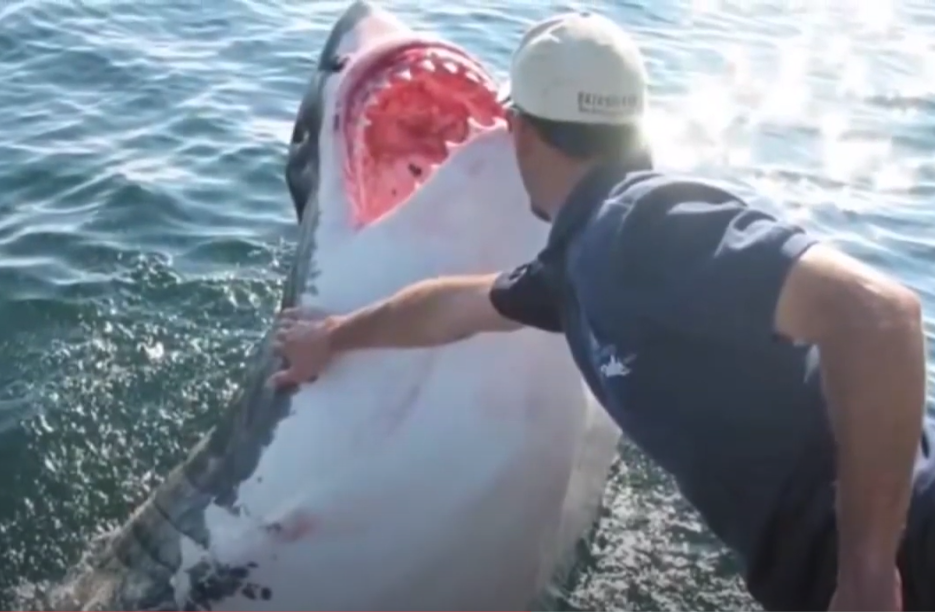 Синди и Арнольд