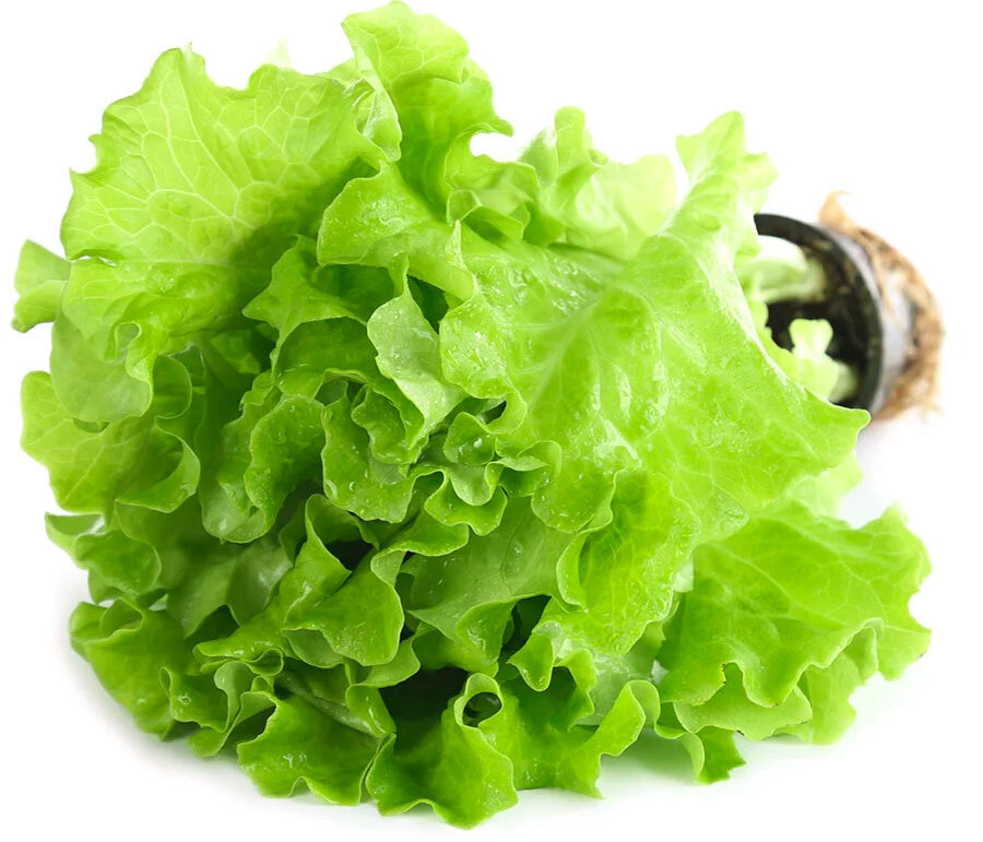 Салат