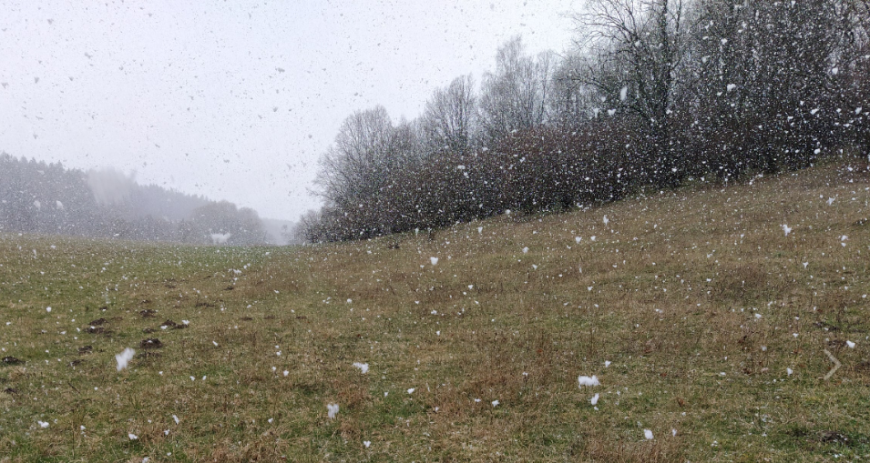 Кажется, в этом апреле снега выпало больше, чем за всю зиму....:(