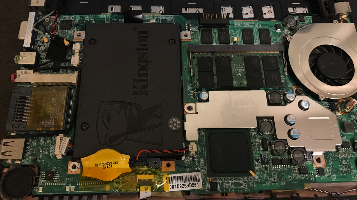 Внутренний мир подопытного