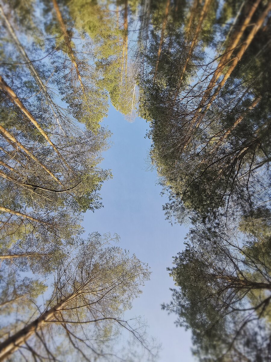Фото из личного архива