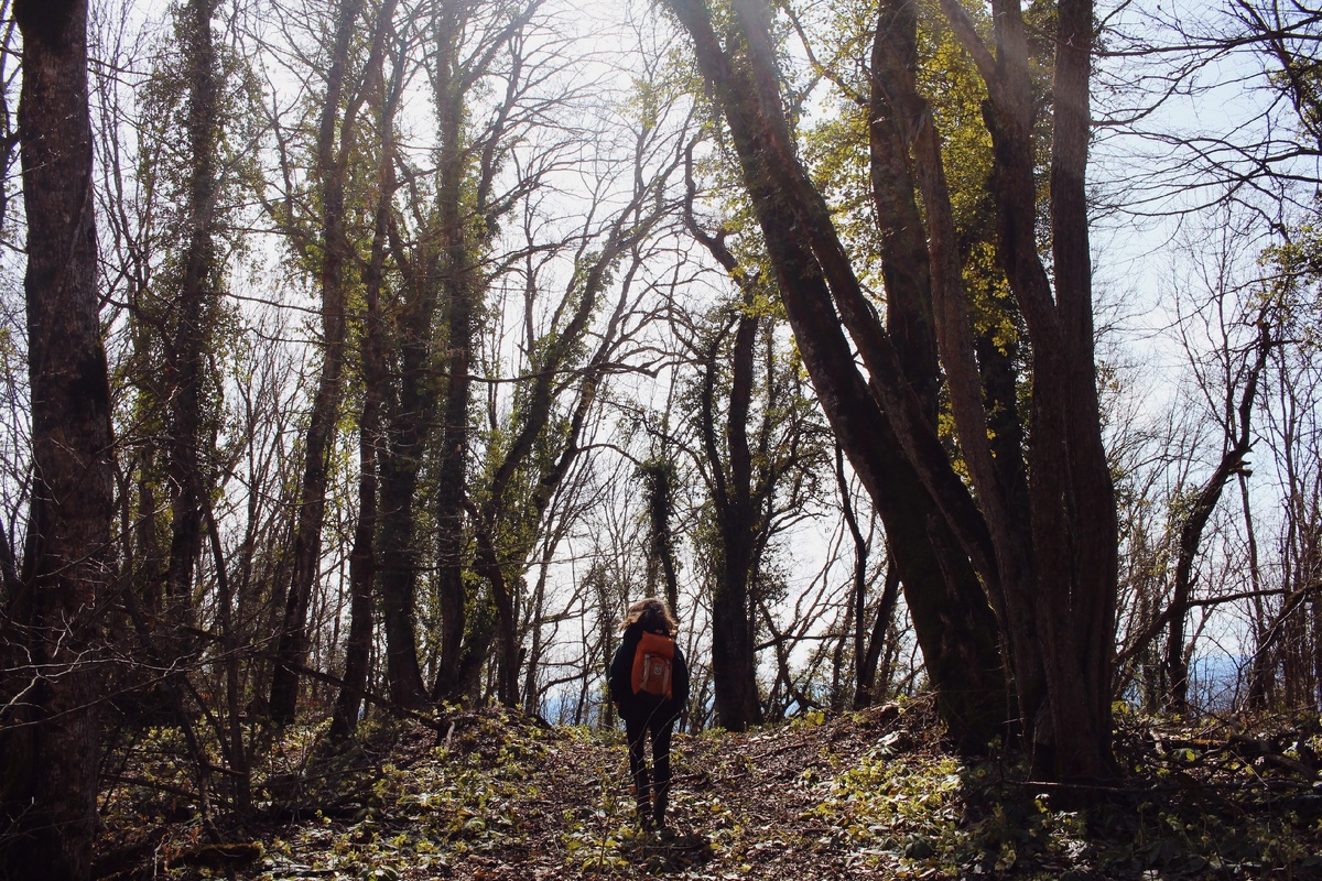 фото с пвдшки в Краснодарской области, март '19