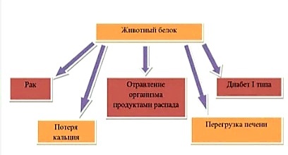 Если соблюдать норму белка, такого не случится