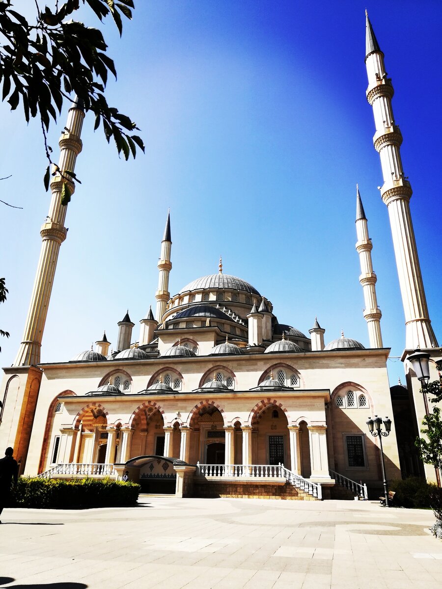 Сердце Чечни