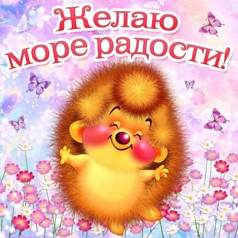 Картинка из интернета