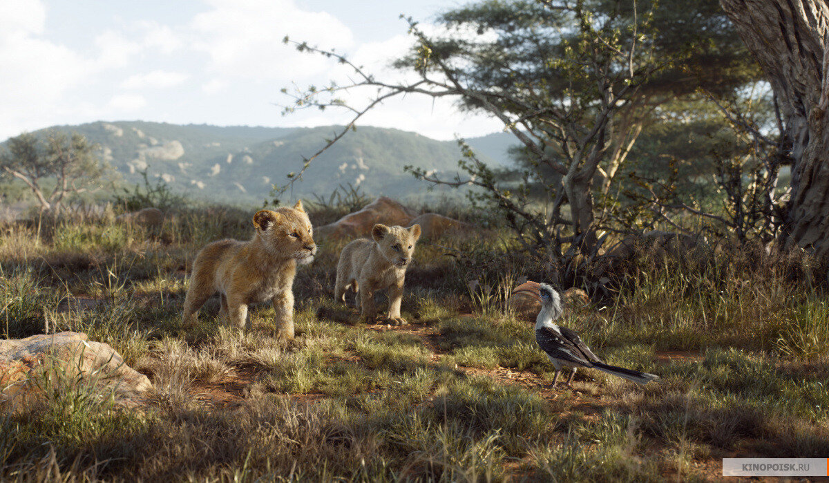 shot from "The Lion King"/2019/dir. by Jon Favreau/Walt Disney Pictures, Fairview Entertainment, British Film Commission/Источник - kinopoisk.ru