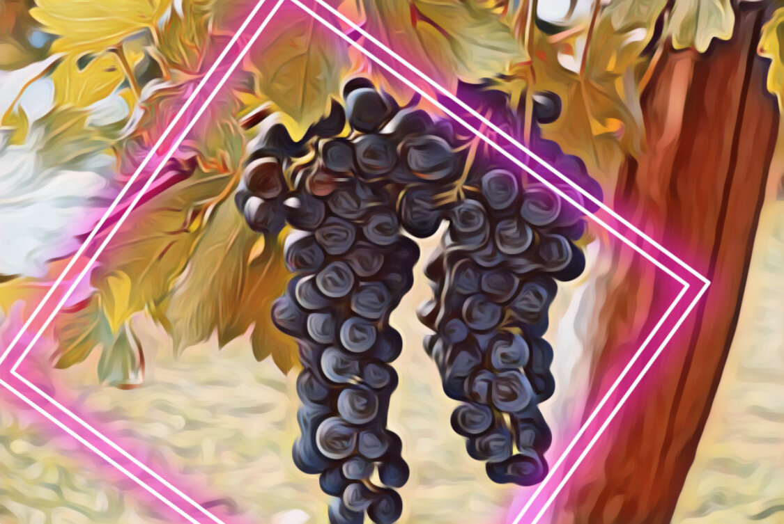 Виноград природный антиоксидант который благотворно влияет на рост волос.