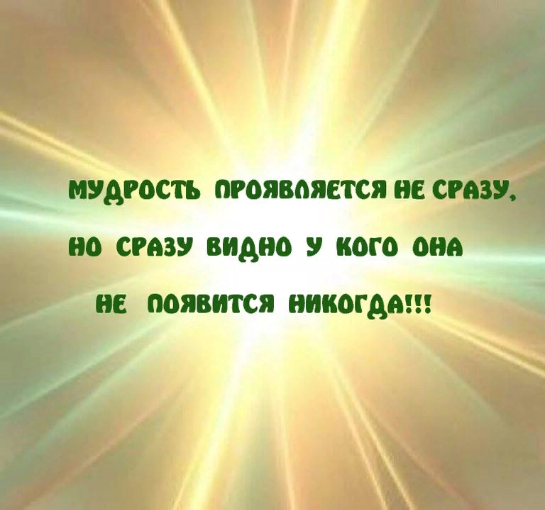 Никогда не возникало. Мудрость жизни. Мудрость цитаты. Мудрость жизни цитаты. Мудрость картина.