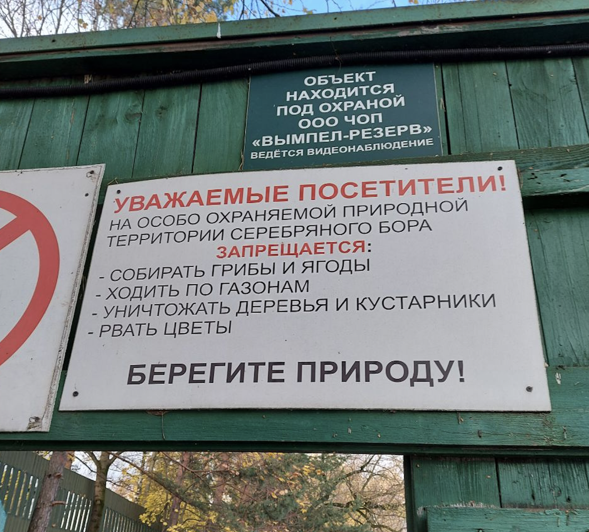 Хотел бы я посмотреть на летающих местных жителей (фото моего авторства)