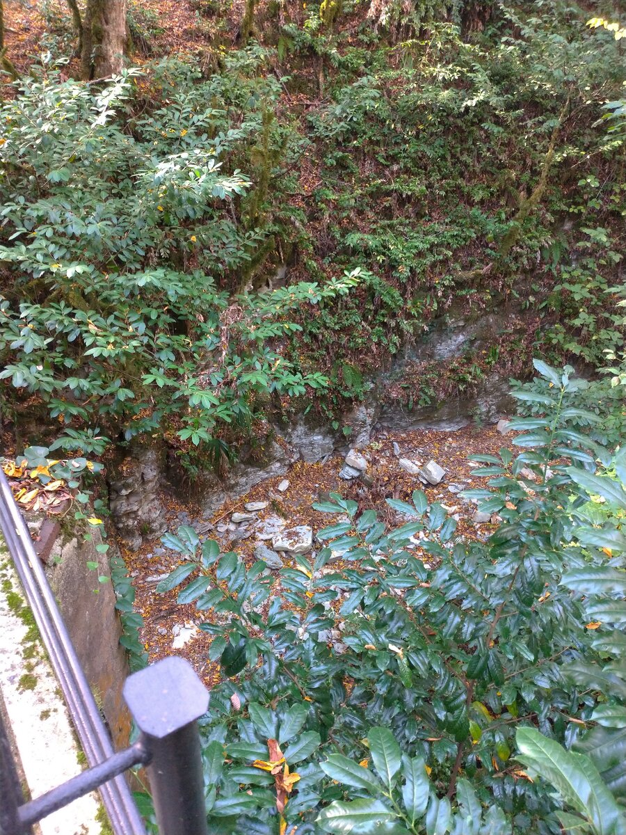 разломы скал заросли тропической растительностью