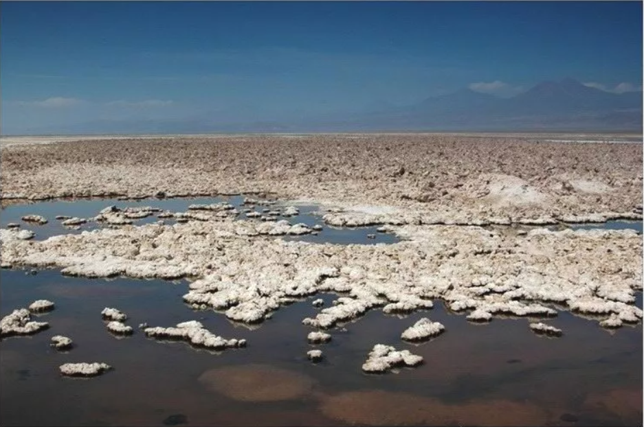 Поля селитры