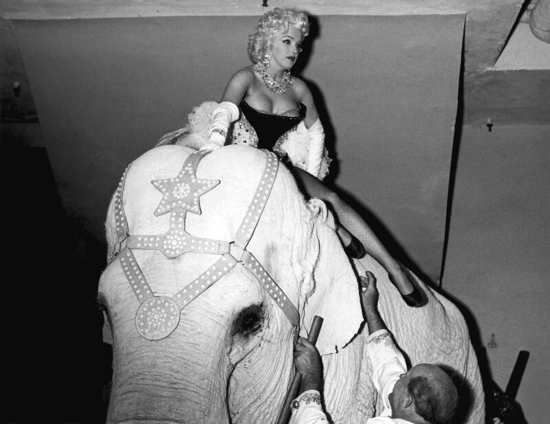 В 1955 году Мэрилин Монро появилась на премьере шоу Ringling Bros., Barnum & Bailey Circus в Мэдисон-Сквер-Гарден.-2