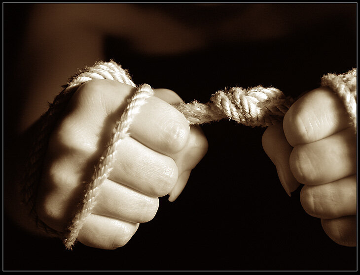 фото из открытых источников 