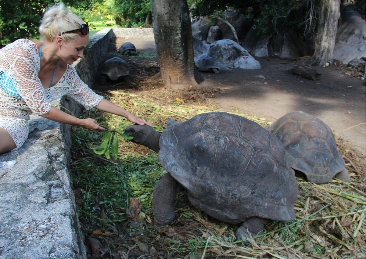 Фото автора 