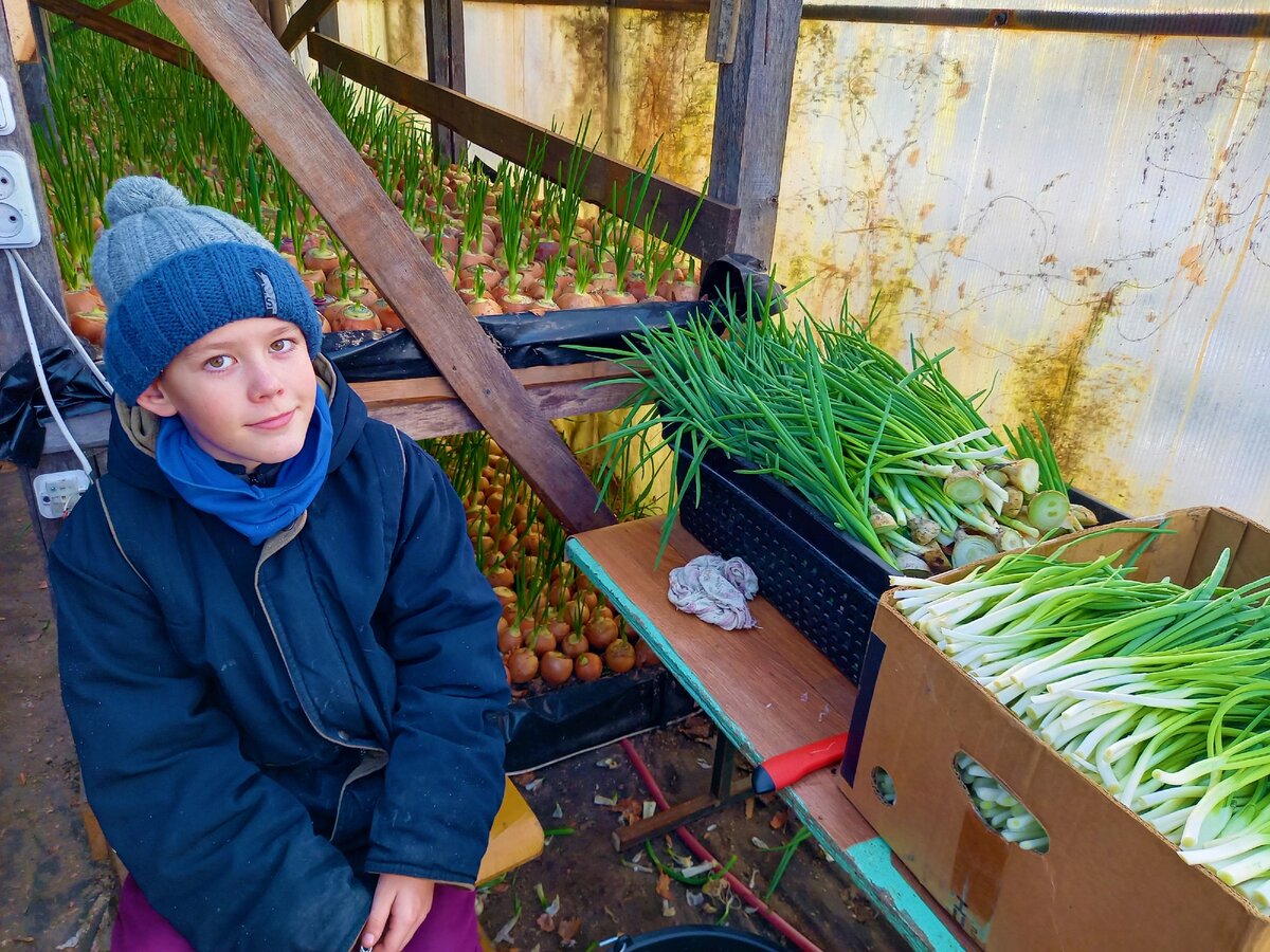 маленький помощник