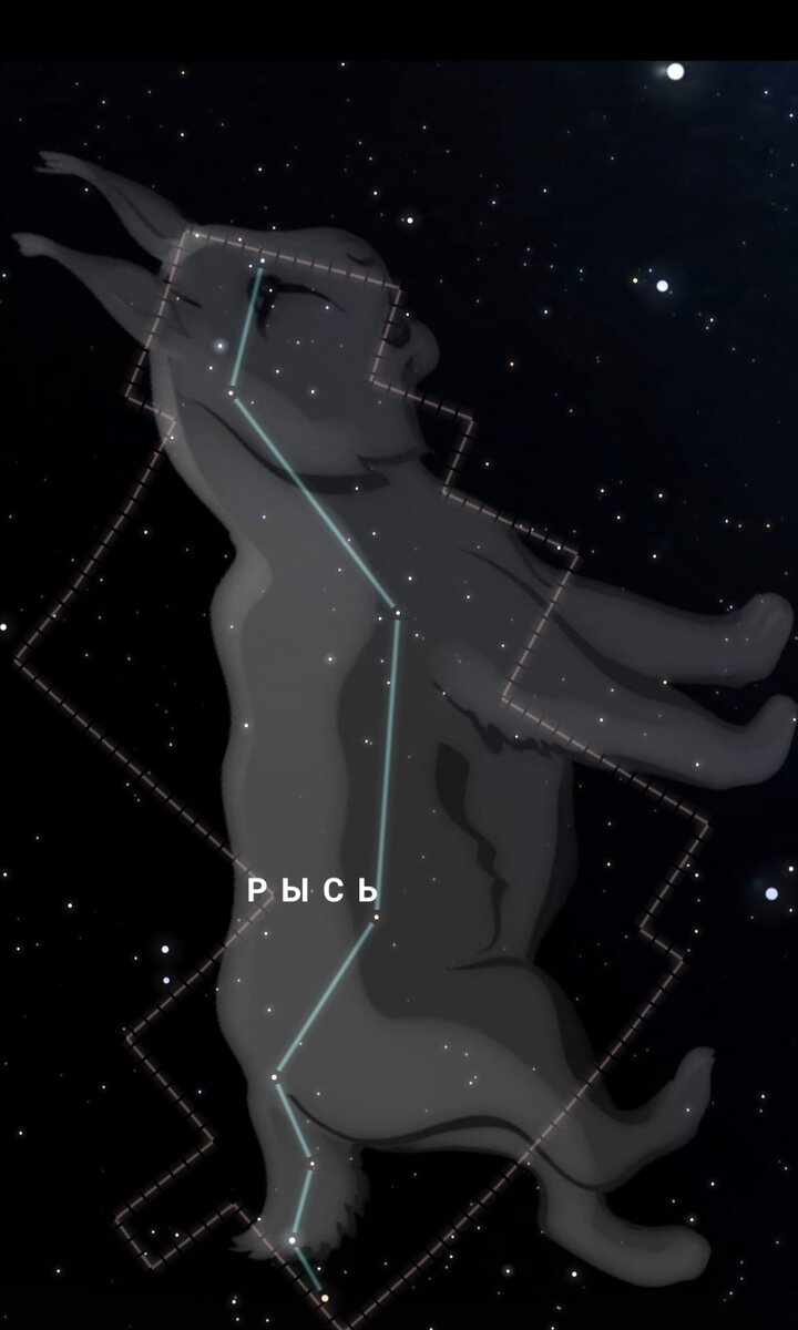 Скриншот из мобильного приложения Stellarium +