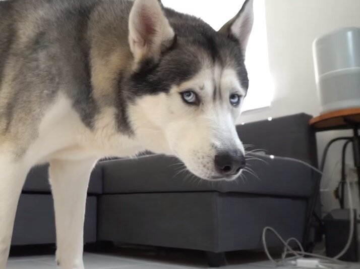 Что-то не так?