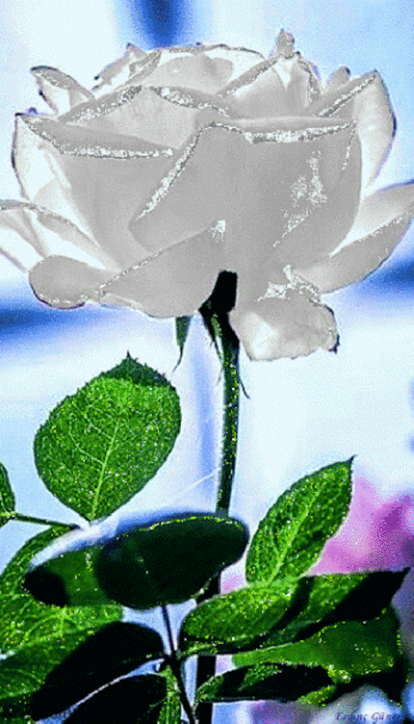 pinterest.com
