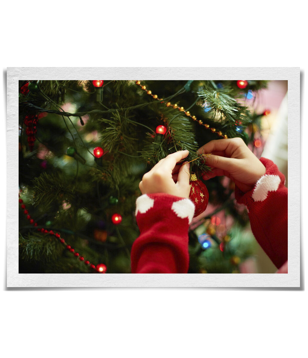 Фото из свободного источника