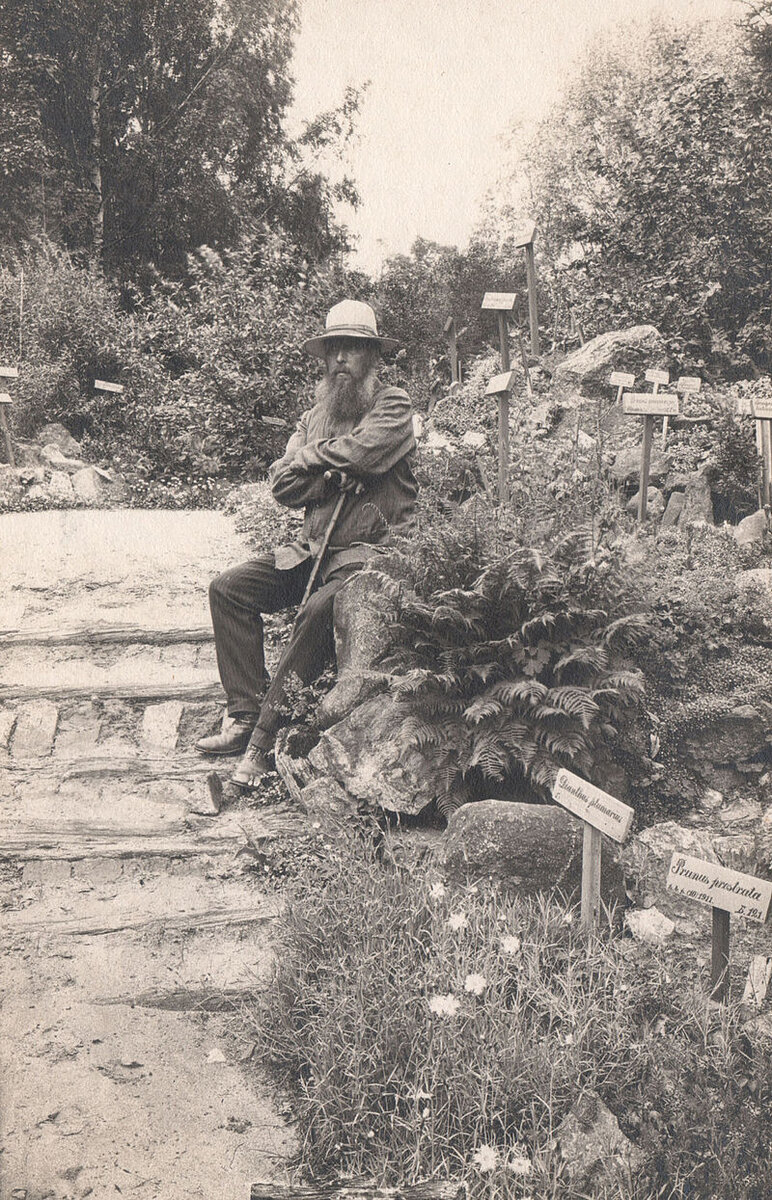 Л вольф. Эгберт Людвигович Вольф. Э.Л. Вольф. Лесной институт 1910 год. Эгберт Людвигович Вольф карта.