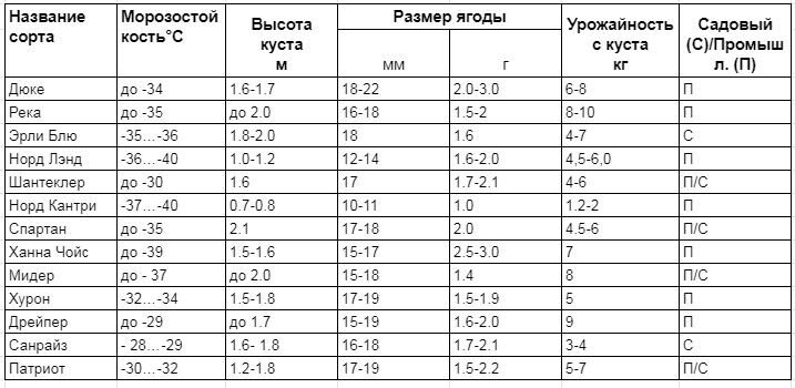 Голубика сроки созревания таблица