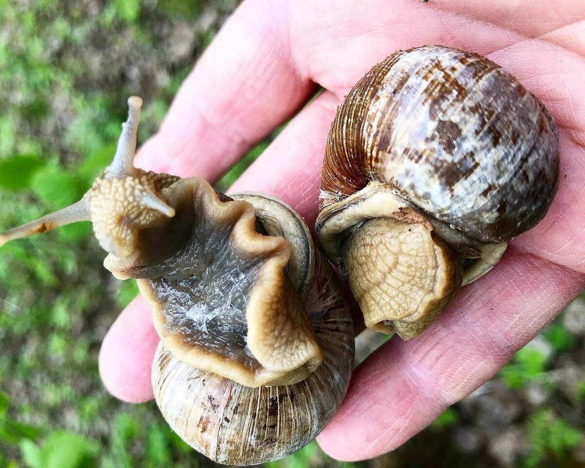 Не снимай, я стесняюсь! 