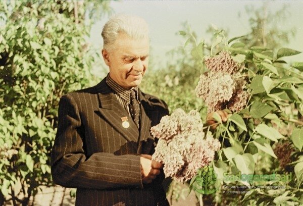 Леонид Алексеевич Колесников (1893-1968). Фото из интернета