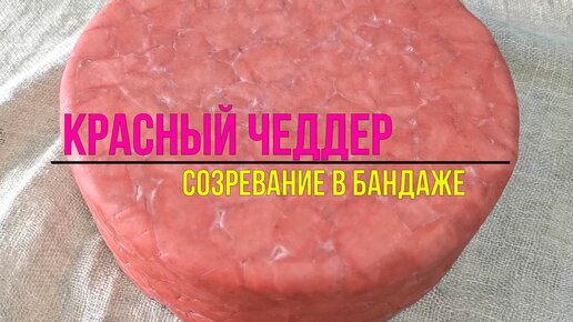 Красный Сыр Чеддер в бандаже из гусиного жира и молотого кофе / Как сварить сыр дома