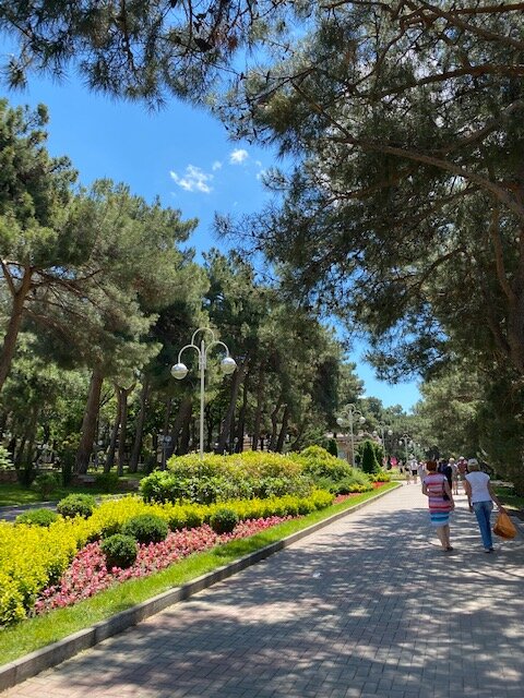 А какая зеленая, благоухающая набережная в Геленджике!