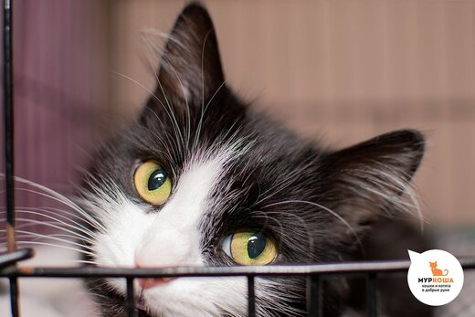 Маргошке 10 лет. В силу возраста требуется более внимательное отношение к здоровью.