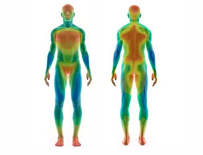 Зоны тела с активным выделением пота
