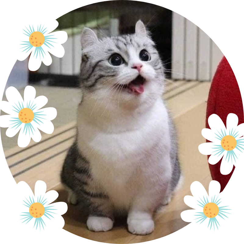 что что что?! Когда следующее упражнение?!! А? Сейчас? Сейчас? Или сейчас?!