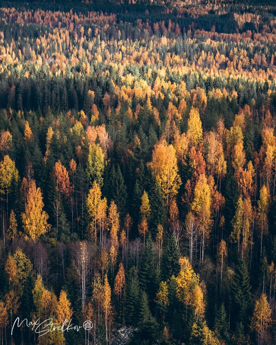Финляндия осенью