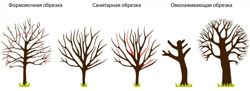 Почувствуйте разницу 