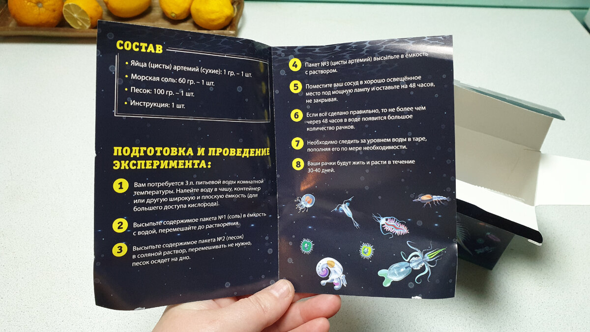 В Фикс Прайс продают живых питомцев! Распаковка и обзор. | Ягодно-цветочная  ферма Лесной вереск | Дзен