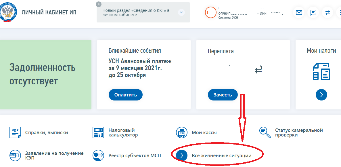 1с усн как работать