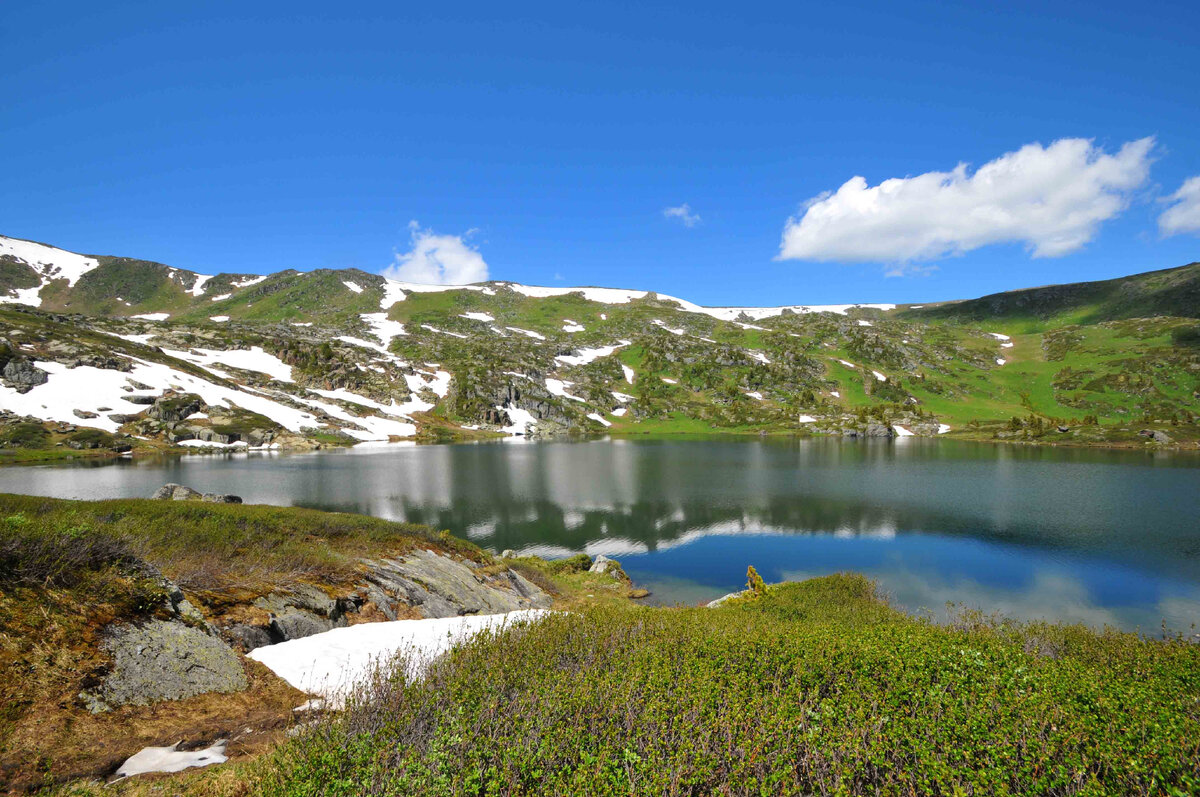 Фото Ольга Шадрина