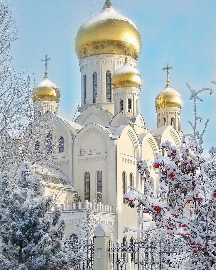 Источник фото Яндекс Картинки 