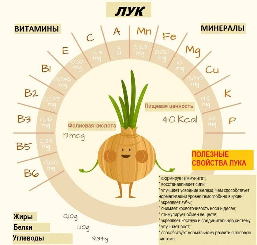 Лук все-таки враг или друг? Кому стоит есть этот овощ, а кому нет. Ставим все точки над и