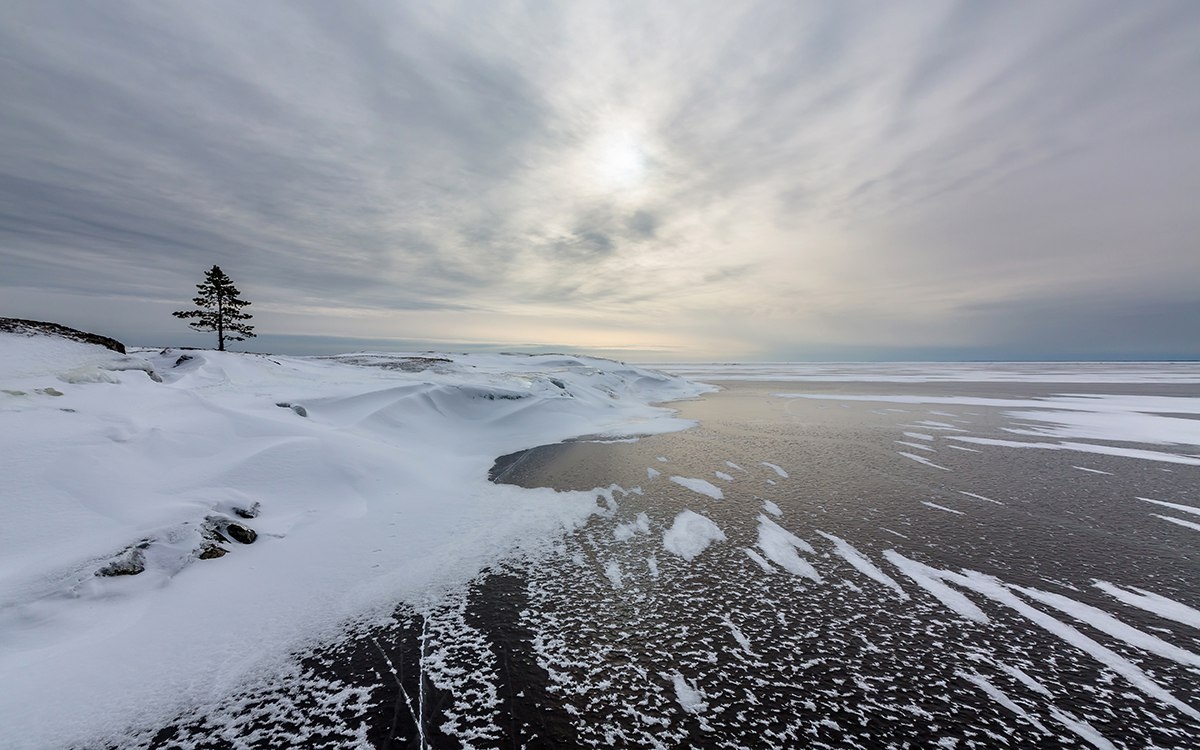 фото с сайта Яндекс-картинки