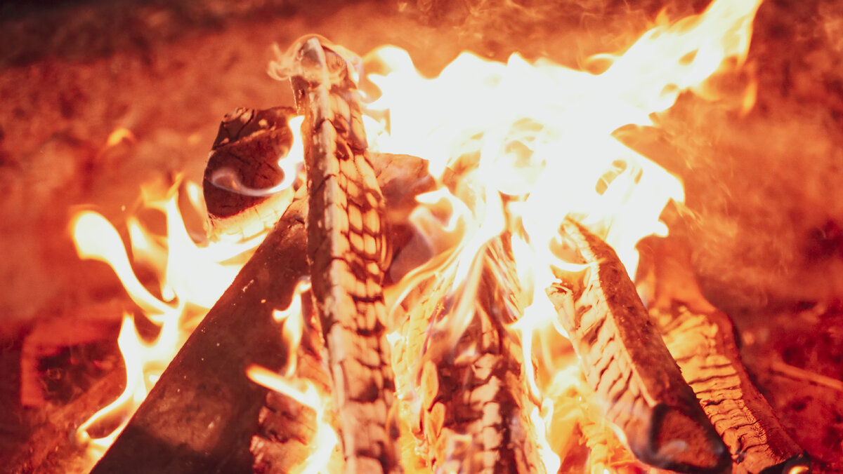 Фото: Kindel Media Pexels